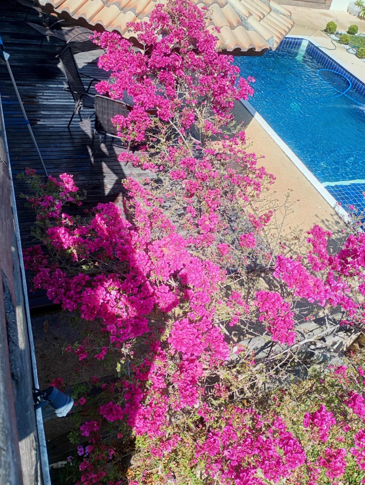 Chacara Alto Padrao Em Igarata Villa Buitenkant foto